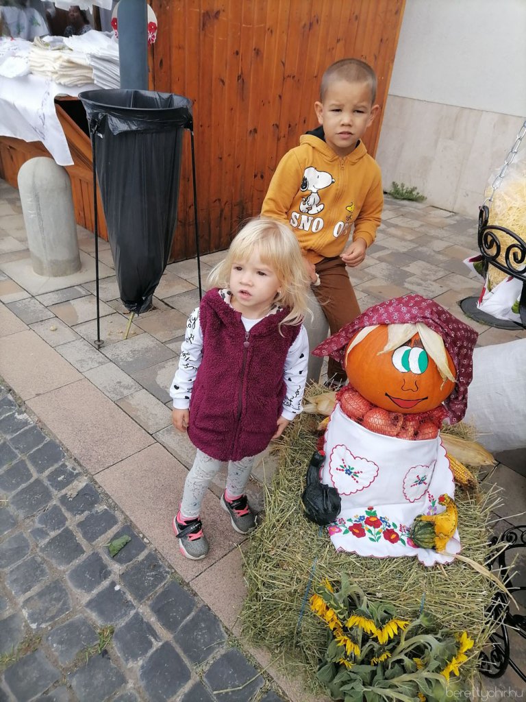 Helyi Értékek Startja 02